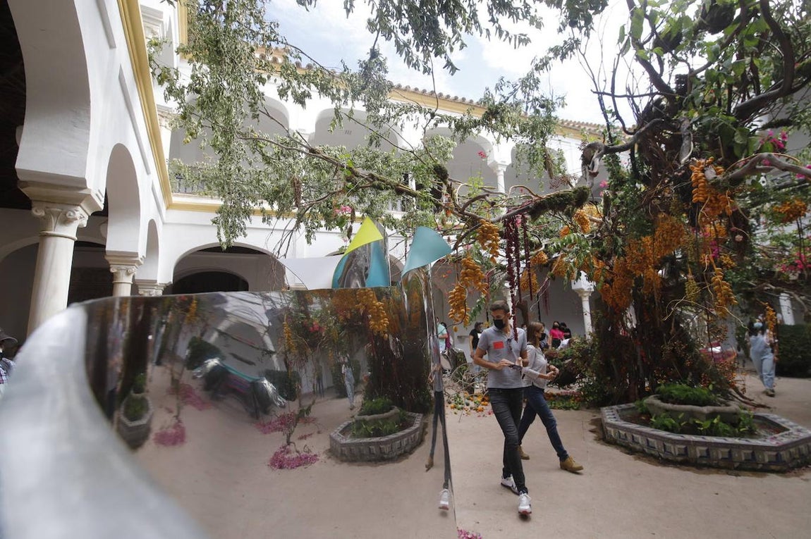 Festival Flora Córdoba 2021 | Gran ambiente de público en los patios, en imágenes (II)