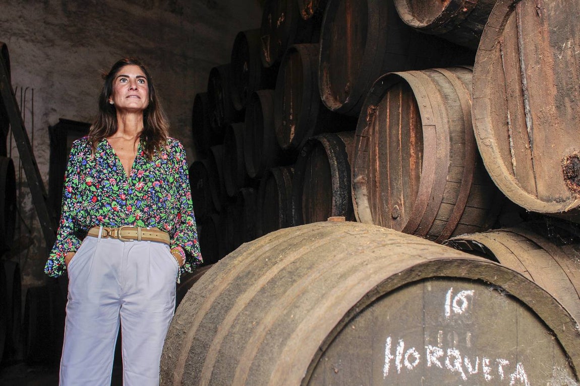 Bodegas Góngora: Enoturismo de lujo en el Aljarafe