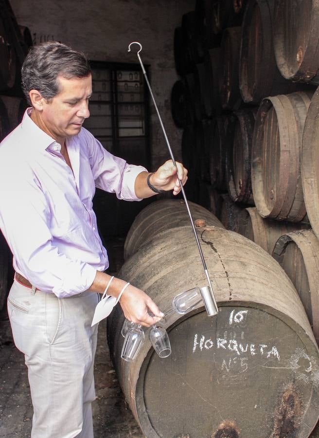 Bodegas Góngora: Enoturismo de lujo en el Aljarafe