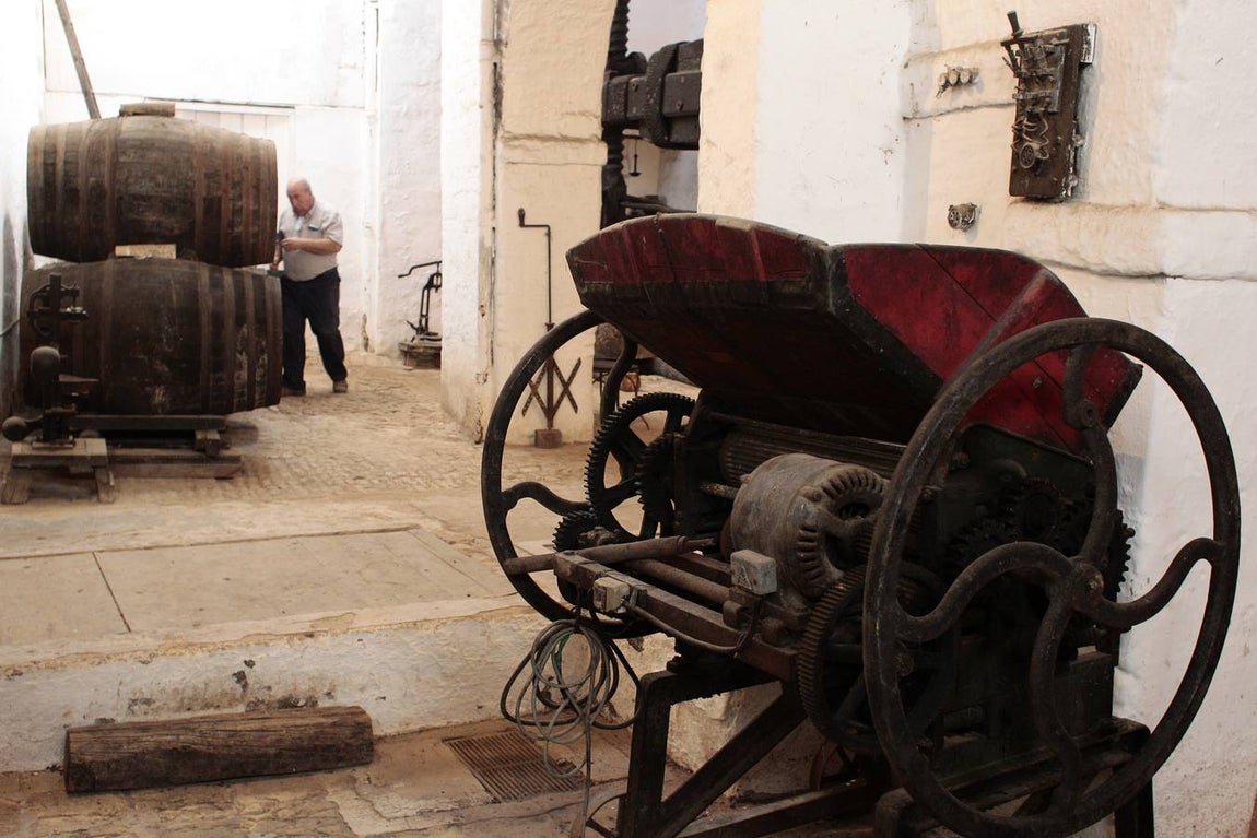 Bodegas Góngora: Enoturismo de lujo en el Aljarafe