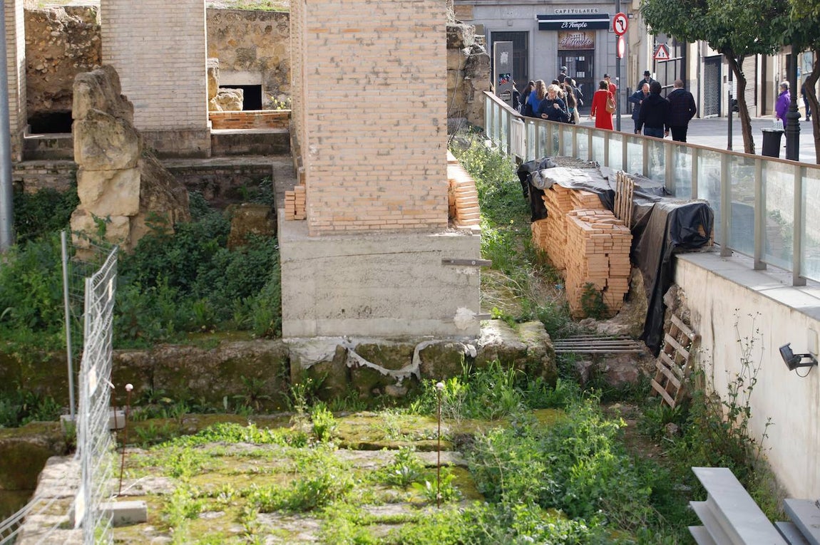 El descuido del Templo Romano de Córdoba, en imágenes