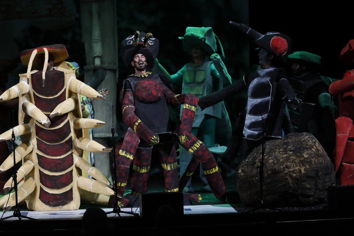 La semifinal del Carnaval de Córdoba, en imágenes