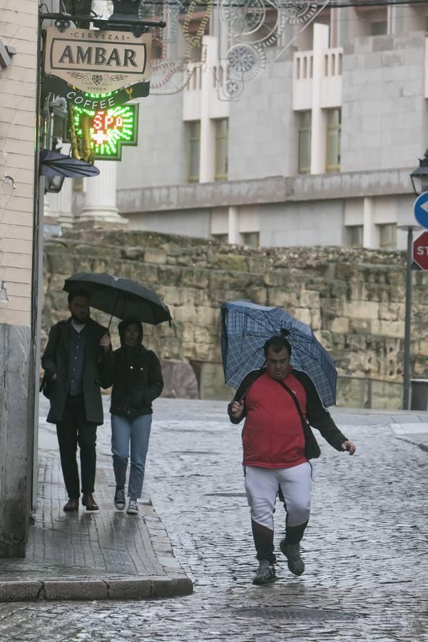 La primera lluvia en semanas en Córdoba, en imágenes