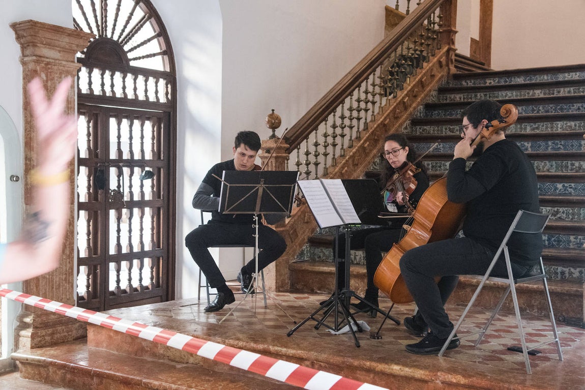 La Media Maratón de Lucena, en imágenes