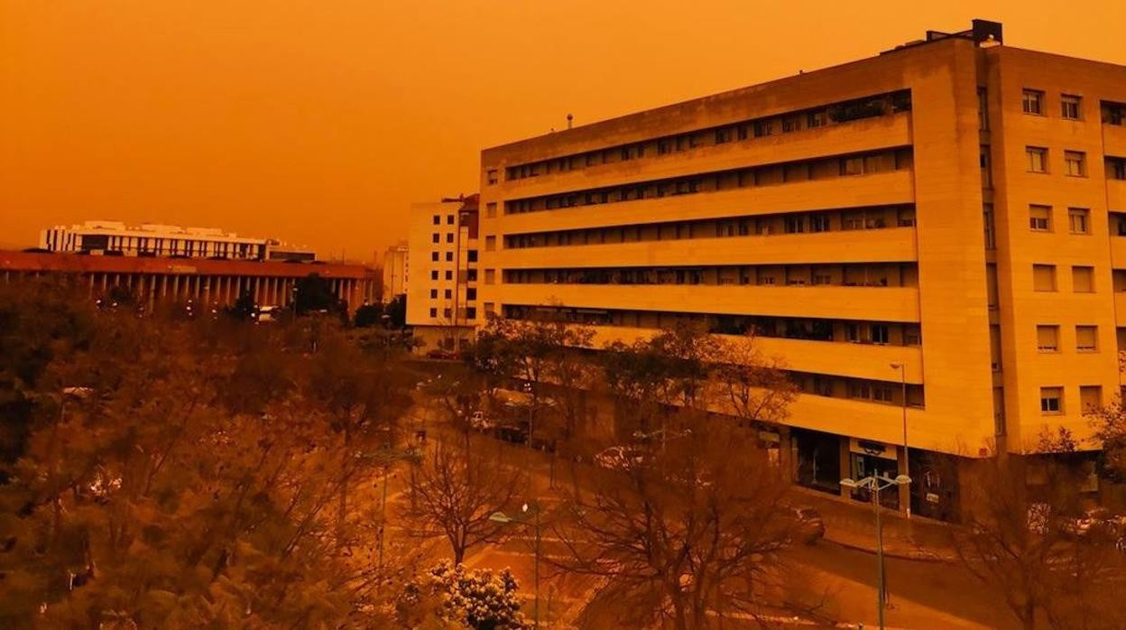 Calima en Córdoba | Así muestran las redes la llegada del polvo sahariano