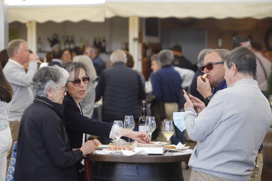 La segunda jornada de la Cata del Vino de Córdoba, en imágenes