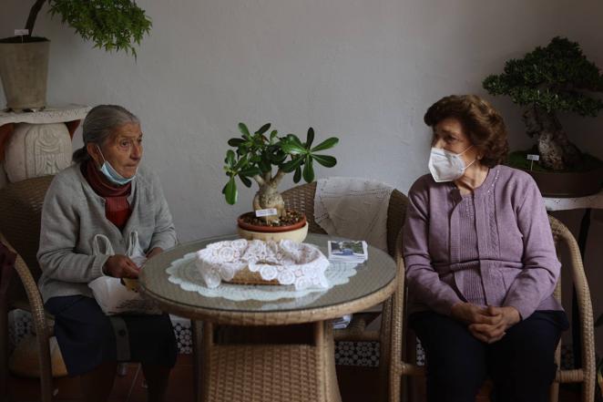 La ruta de San Basilio de los Patios de Córdoba, en imágenes