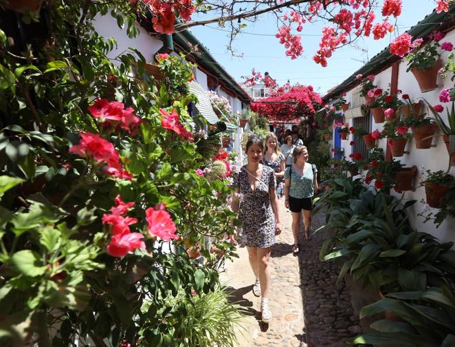 Patios de Córdoba 2022 | Las largas colas y el ambiente del fin de semana, en imágenes