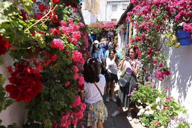 Patios de Córdoba 2022 | Las largas colas y el ambiente del fin de semana, en imágenes