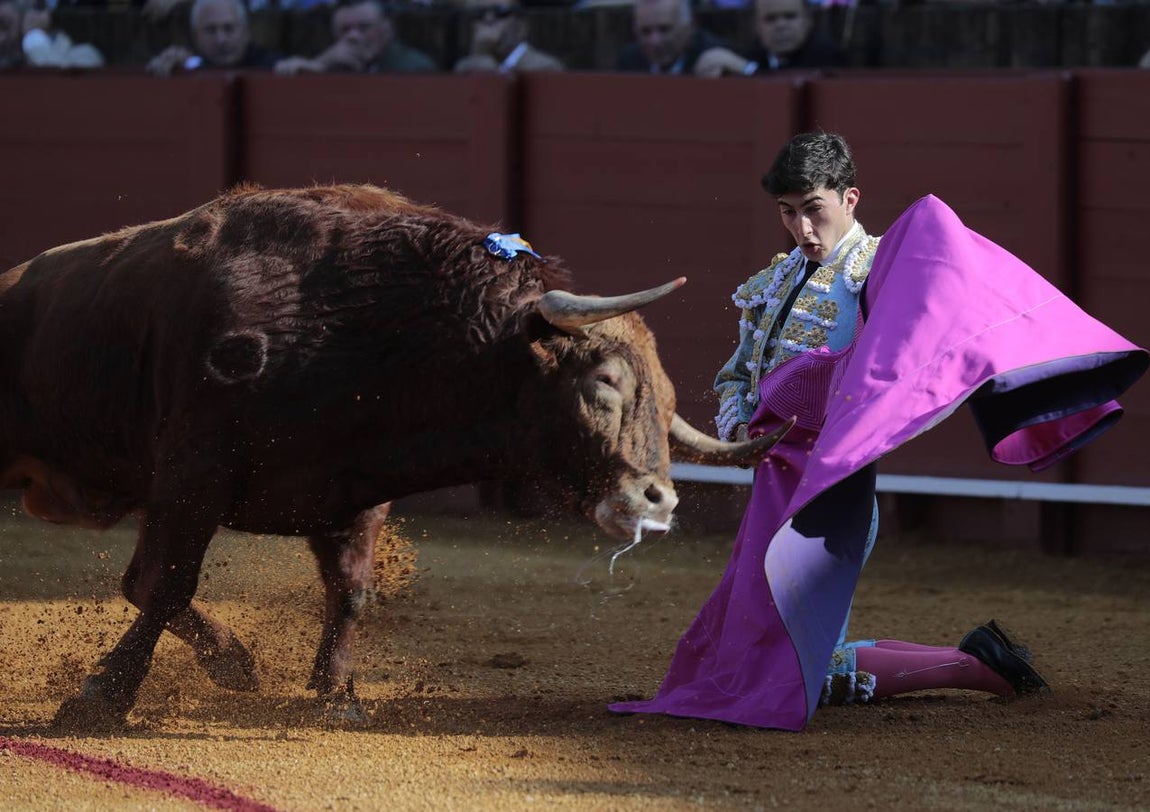 Corrida del sábado de farolillos de 2022 en la plaza de toros de Sevilla. RAÚL DOBLADO