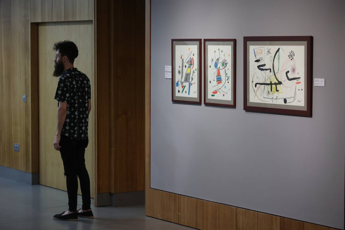 La exposición de Picasso, Dalí y Miró en Córdoba, en imágenes