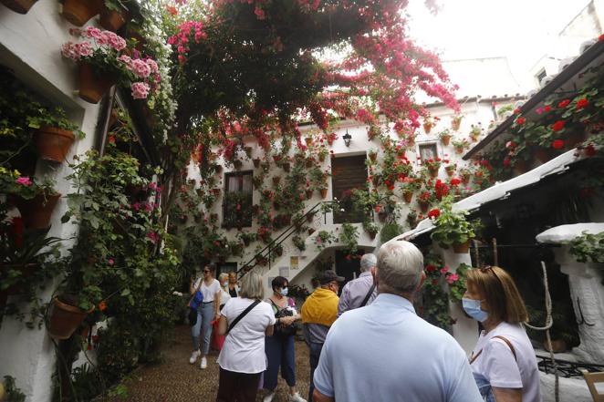 En imágenes, el ambientazo del sábado de Patios en Córdoba