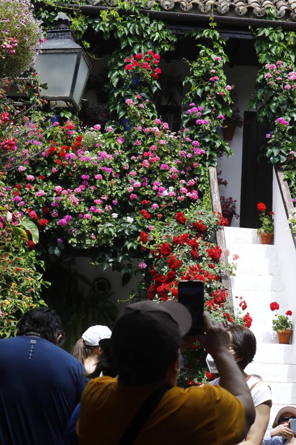 En imágenes, el ambientazo del sábado de Patios en Córdoba
