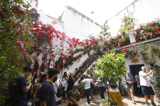 En imágenes, el ambientazo del sábado de Patios en Córdoba
