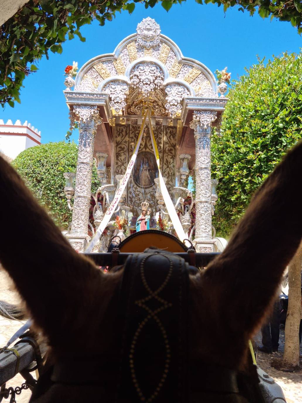 Rocío 2022 | El camino de la hermandad de Córdoba, en imágenes