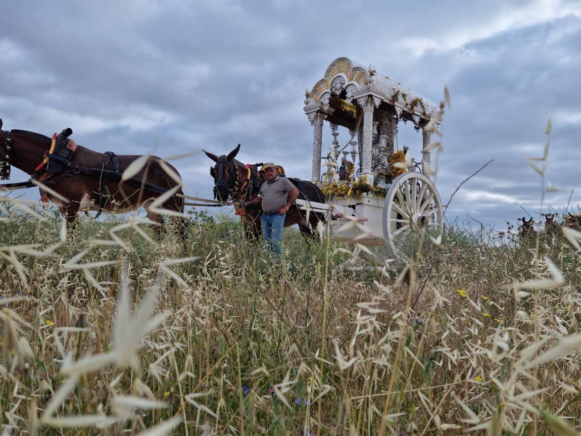 Rocío 2022 | El camino de la hermandad de Córdoba, en imágenes