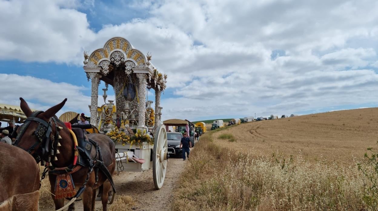 Rocío 2022 | El camino de la hermandad de Córdoba, en imágenes