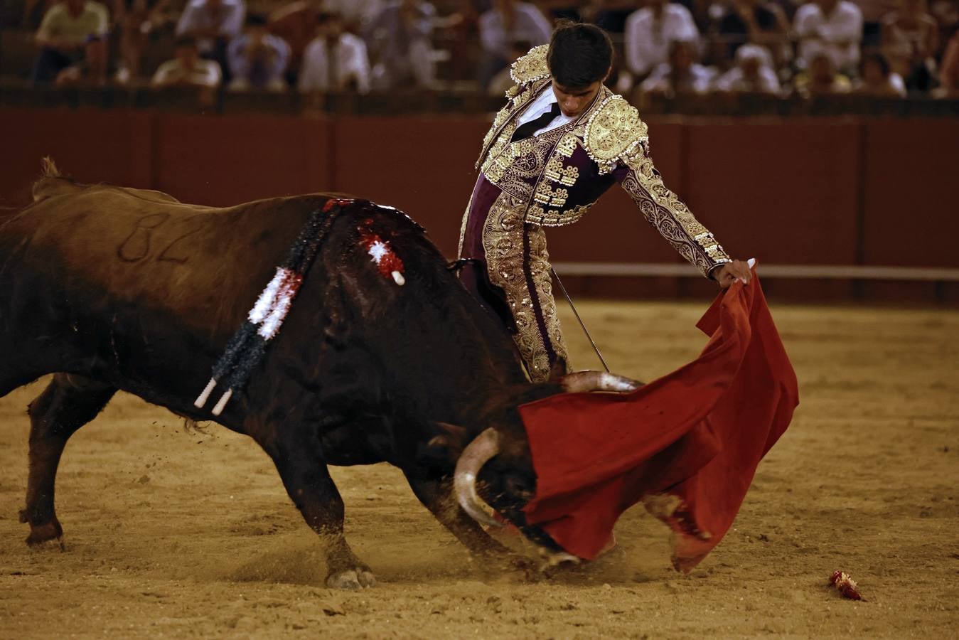 En imágenes, novillada gris en la Maestranza