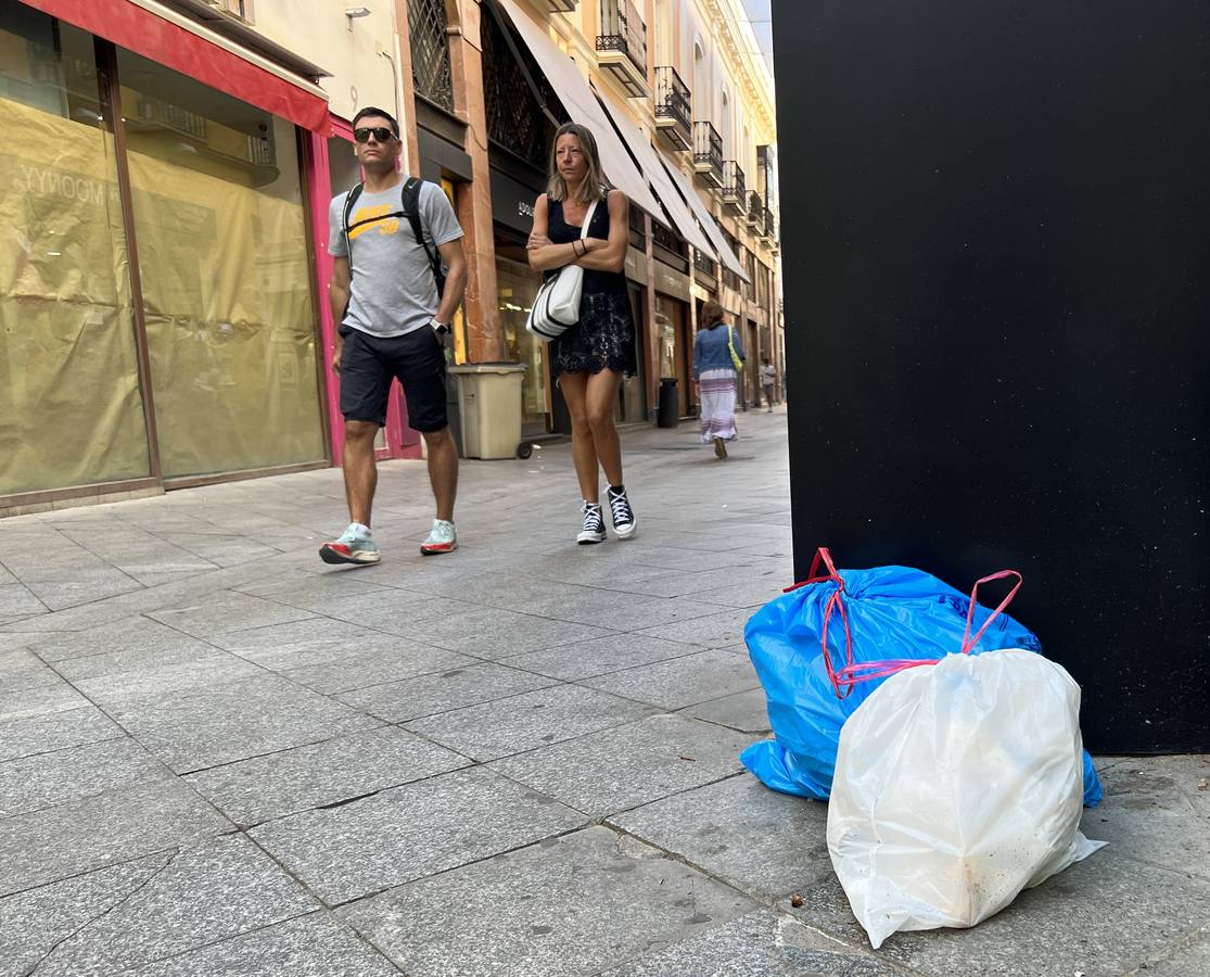 La suciedad inunda las calles de Sevilla