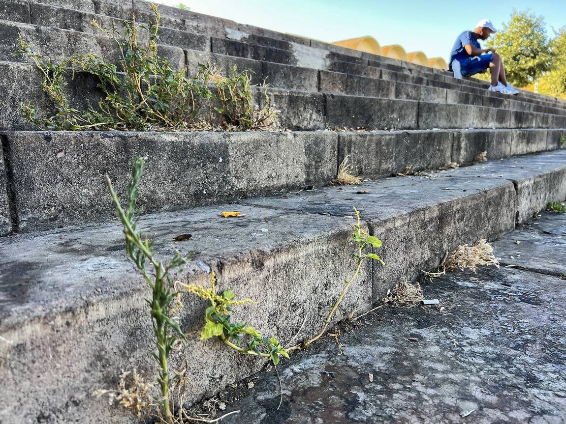 La suciedad inunda las calles de Sevilla
