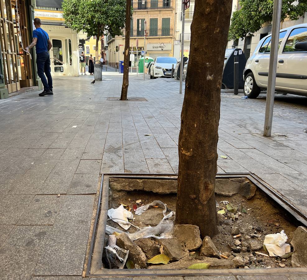La suciedad inunda las calles de Sevilla