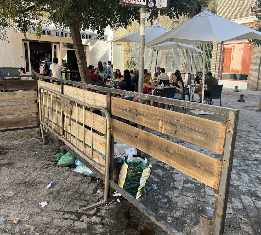 La suciedad inunda las calles de Sevilla