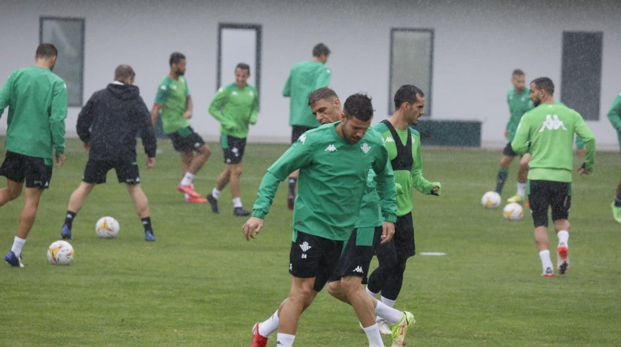 Aitor Ruibal sería una de las apuestas de los lectores de Alfinaldelapalmera.com en el once del Real Betis ante el Talavera