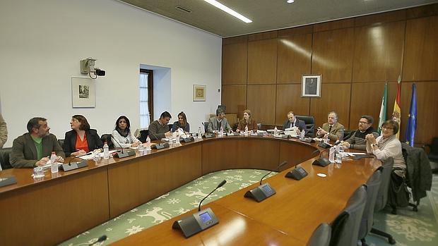 Comisión de investigación de la formación