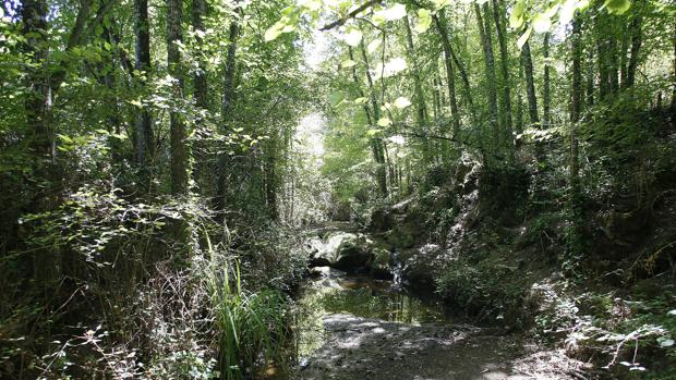 El Ayuntamiento de Córdoba recuperará el Plan Especial de la Sierra