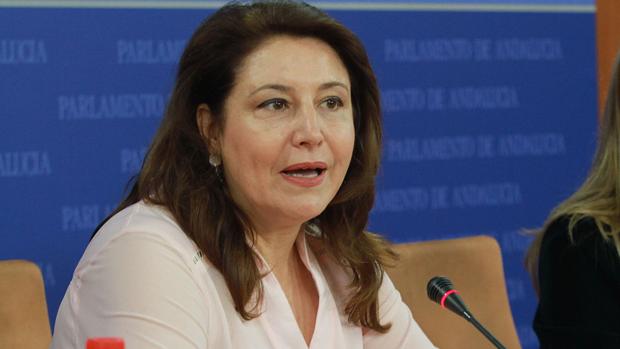 La portavoz parlamentaria popular, Carmen Crespo