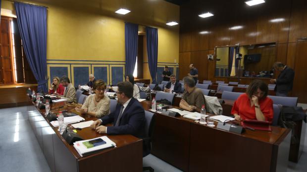 Los miembros de la comisión de investigación del Parlamento durante una de las sesiones