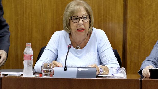 La consejera de Educación, Adelaida de la Calle
