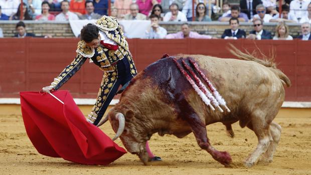 Finito de Córdoba, durante una corrida en el Coso de los Califas