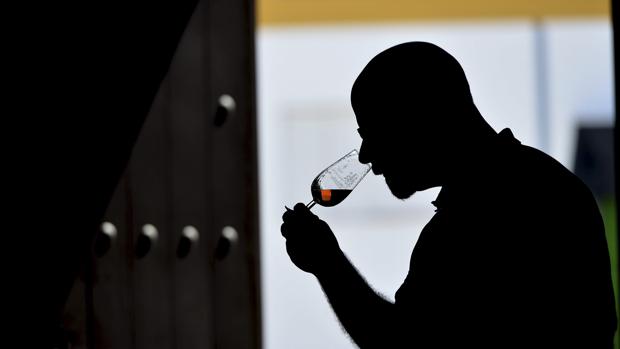 La subida tributaria del alcohol encarece varios vinos de la Denominación de Origen Montilla-Moriles
