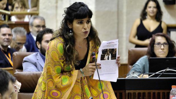 El grupo parlamentario de Podemos ha hecho uso de 14.536 euros en los dos primeros meses inhábiles