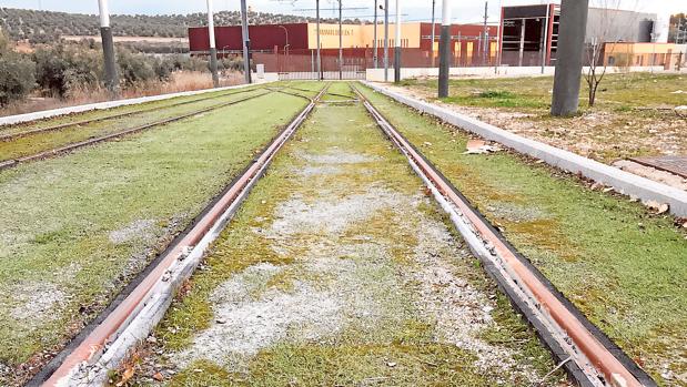 El deterioro del césped artificial refleja el estado de abandono