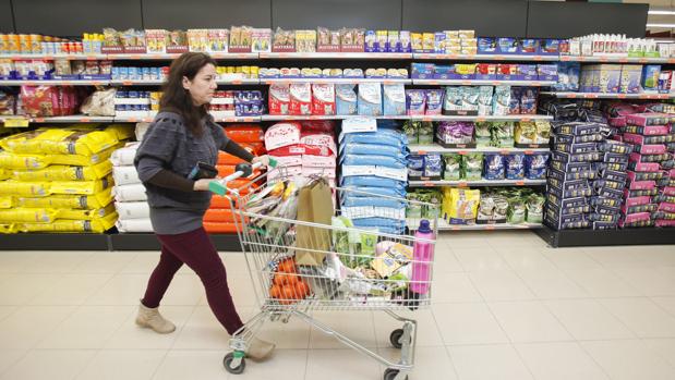 Una clienta de Mercadona por una de sus tiendas de Córdoba