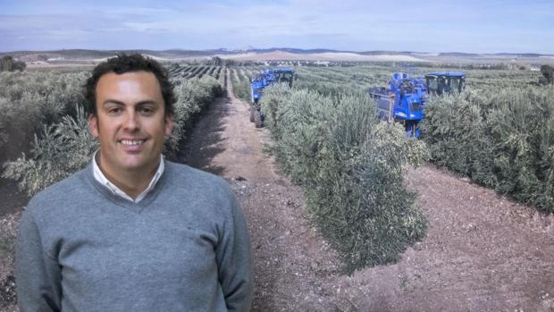 Raúl Aguayo, de Todolivo: «El mercado asiático tiene muchas posibilidades para el sector olivarero»