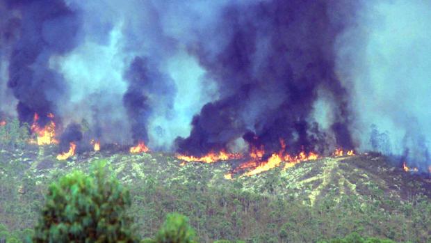El fuego ha sido el protagonista en muchas ocasiones en Andalucía
