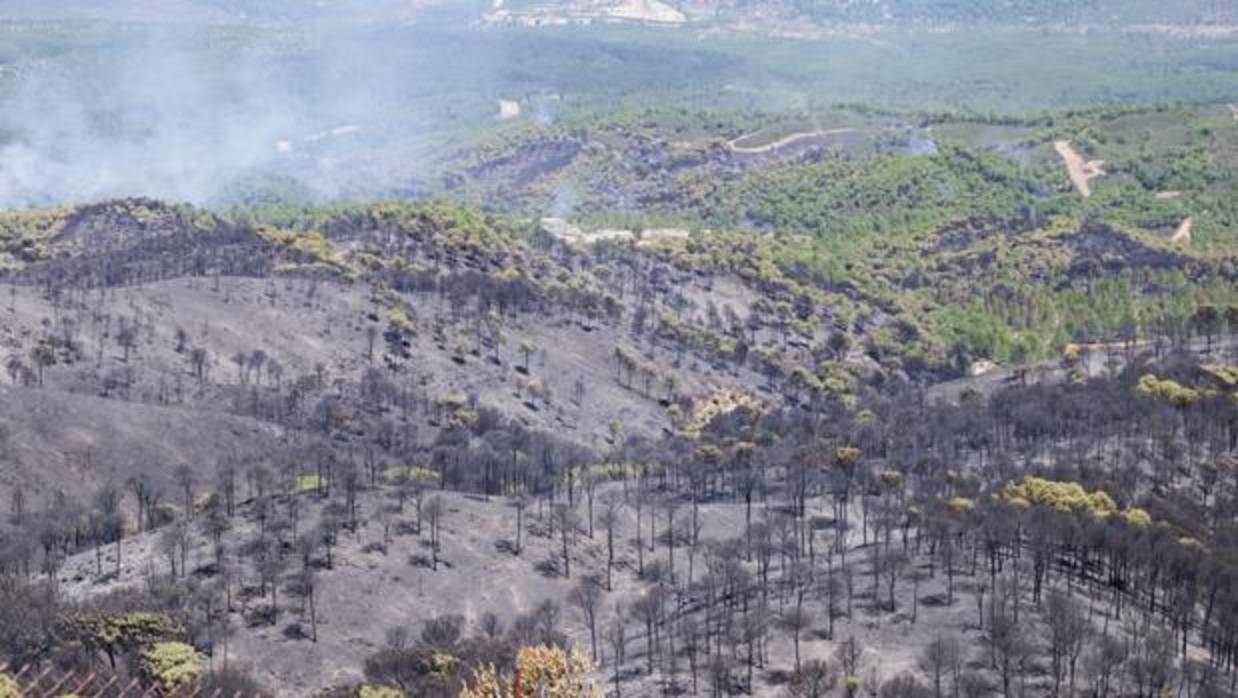 La superficie quemada por el fuego en Riotinto