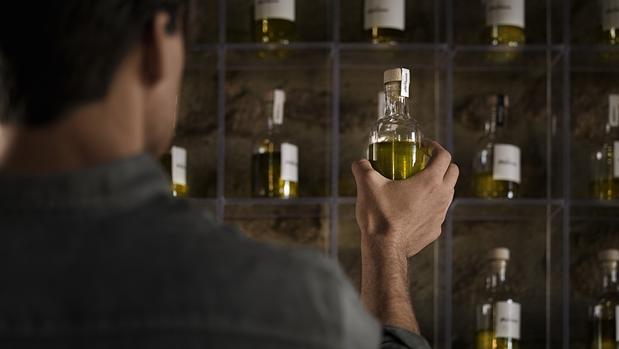 Las cooperativas prevén que la próxima campaña de aceite mantendrá la producción en Córdoba