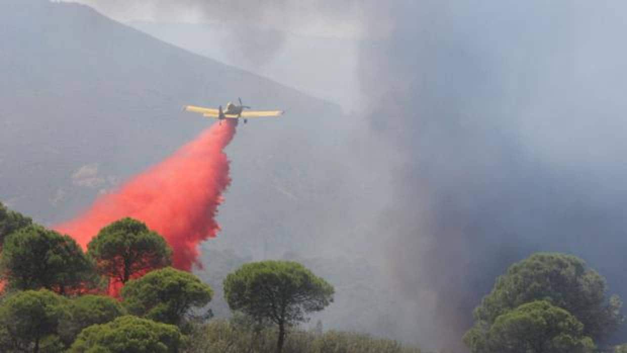 Avioneta en plenas labores de extinción de un incendio forestal