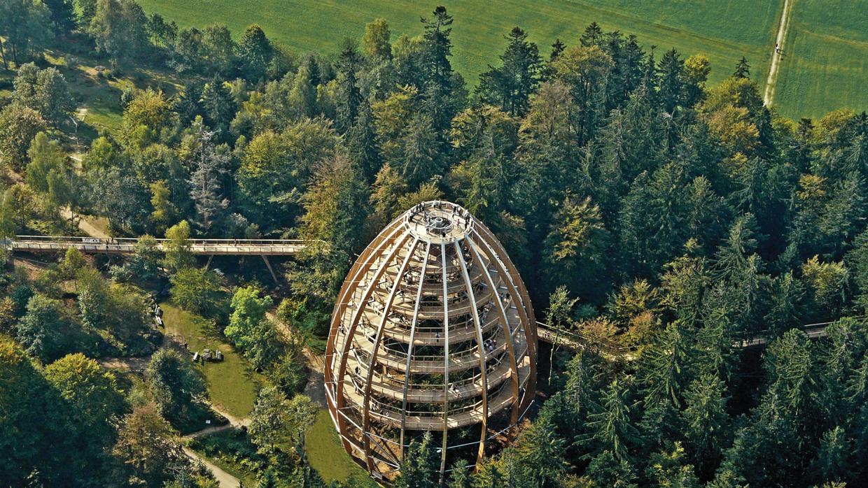 Las instalaciones de la compañía Academia de Aventuras reciben a un millón de visitantes al año