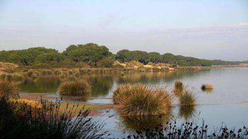 Espacio natural de Doñana
