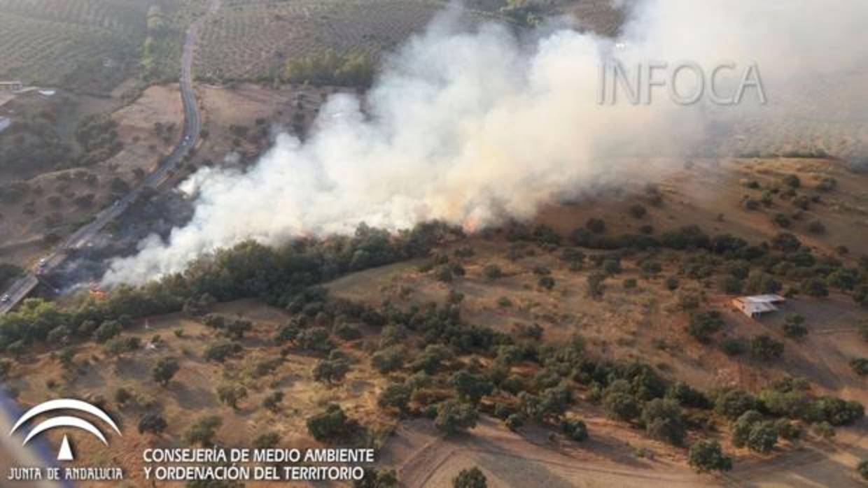 Imagen del incendio ofrecida por el Infoca en Twitter