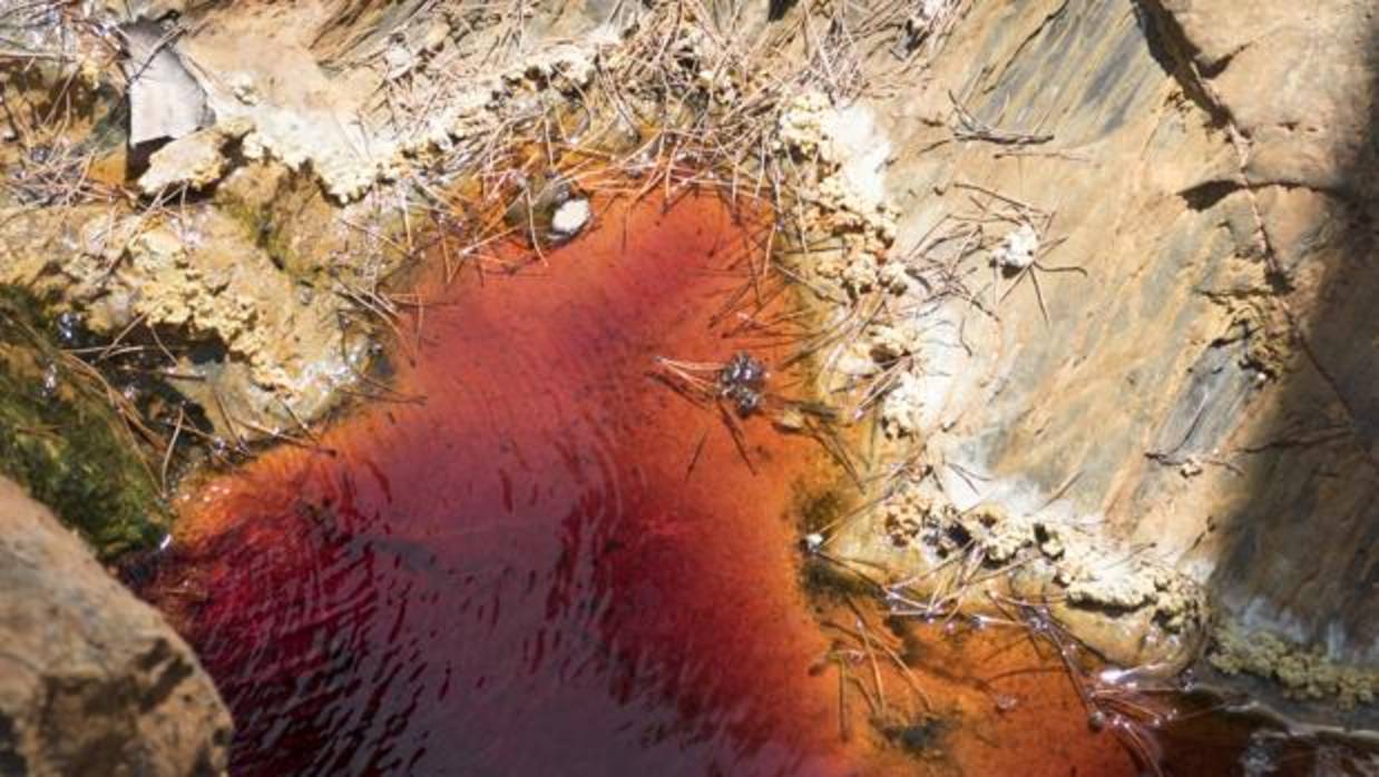 El río muy cerca de su nacimiento