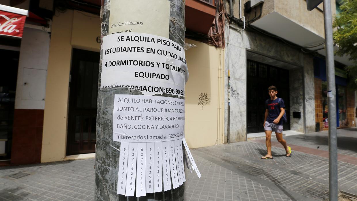 Un joven camina junto a carteles de alquiler de pisos en Córdoba