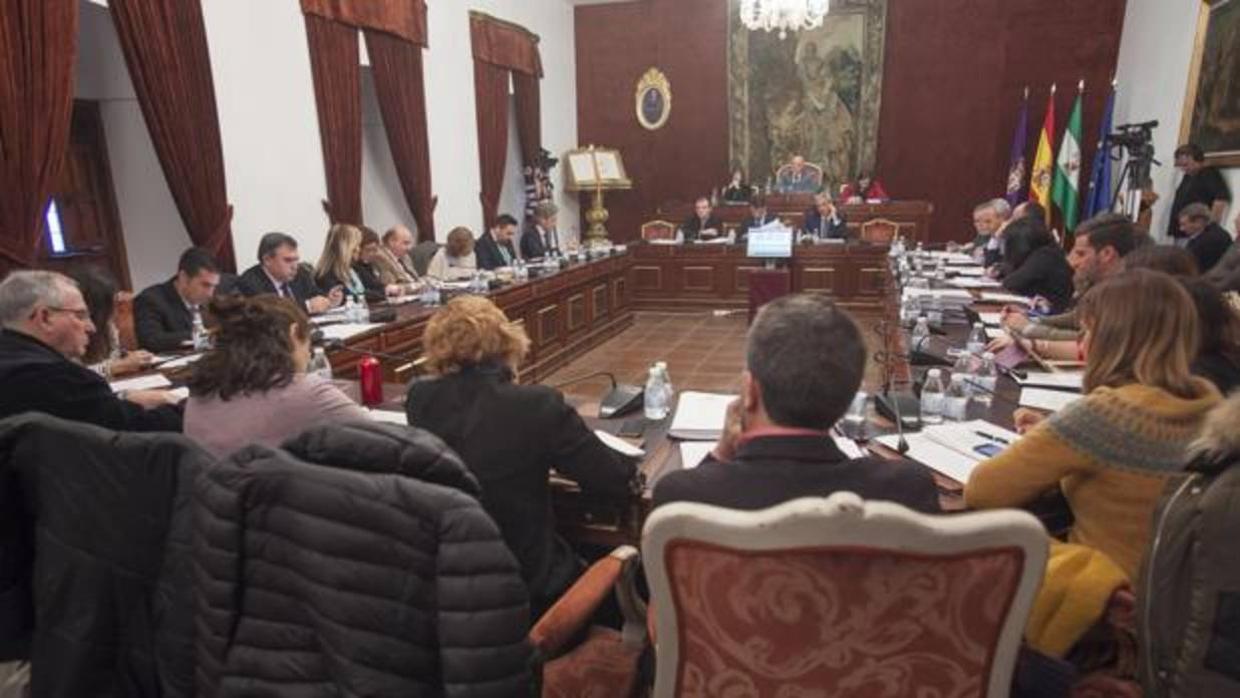 Un momento del pleno de la Diputación del miércoles