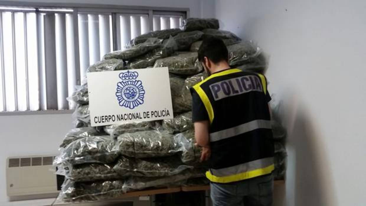 Incautados una banda de traficantes de marihuana