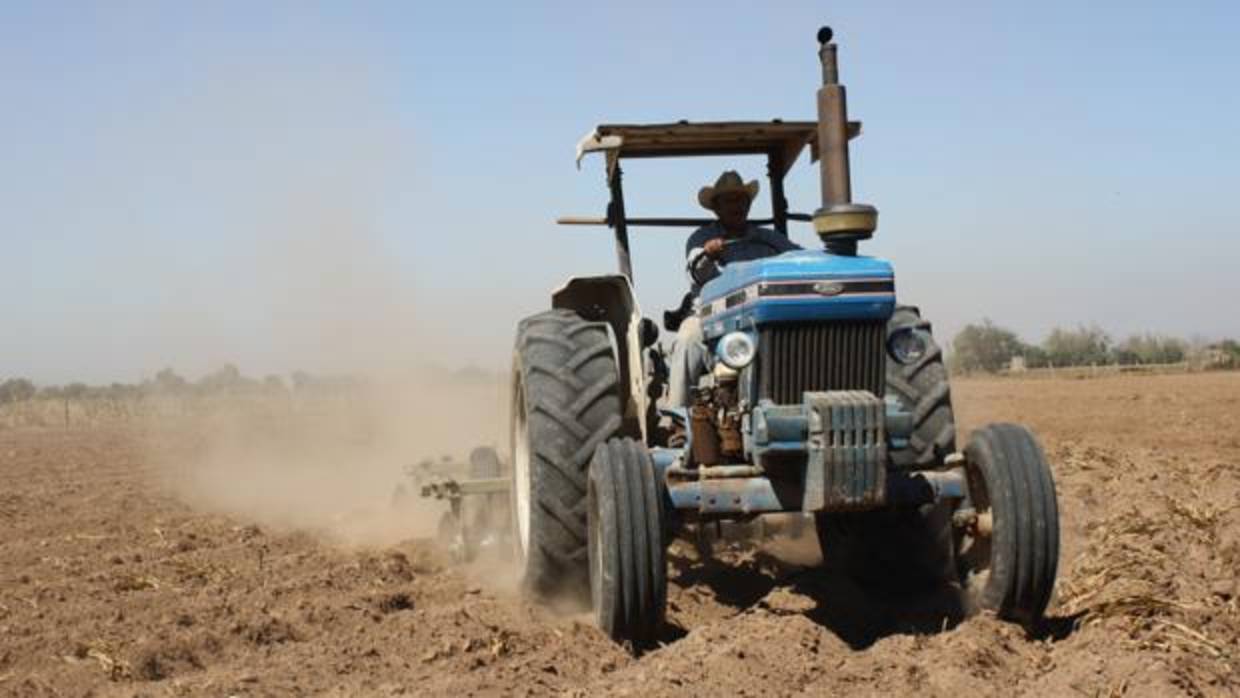 Un hombre trabajando con su tractor en el campo